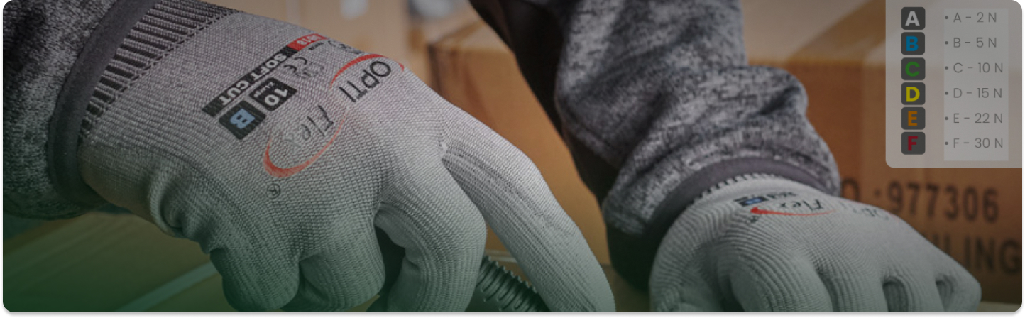 Kategorie r protiřez